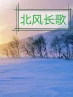 《北风长歌第一部大风起兮》封面