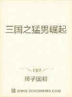《三国之猛男崛起》封面