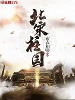 《北宋柱国》封面