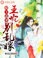 《殿下追妻：王妃别乱嫁》封面