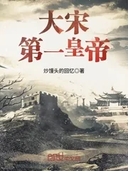 《大宋第一皇帝》小说封面