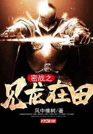 《密战之见龙在田》封面