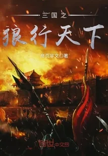 《三国之狼行天下》封面
