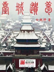《台城遗梦》封面