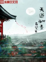 《天道酬秦》封面