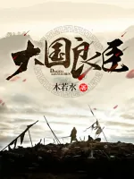 《大国良臣》封面