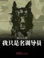 《我只是名训导员》小说封面