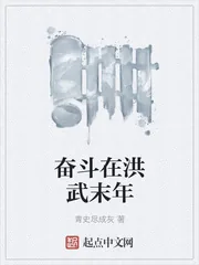 《奋斗在洪武末年》封面