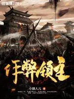 《作弊领主》封面