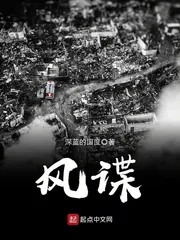 《风谍》小说封面
