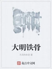 《大明铁骨》小说封面
