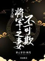 《美人谋：将军之妻不可欺》小说封面