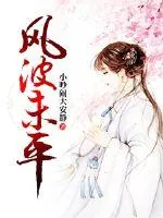 《风波未平》封面
