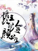 《摄政王的冷颜公主》小说封面