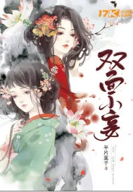 《双面小妾》封面