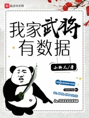 《我家武将有数据》封面
