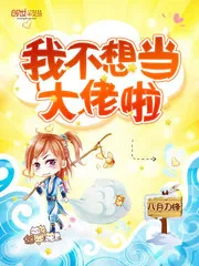 《我不想当大佬啦》封面