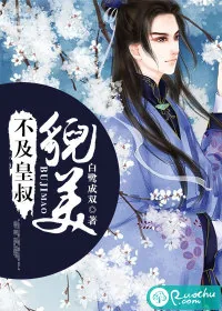《不及皇叔貌美》封面