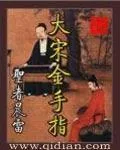 《大宋金手指》封面