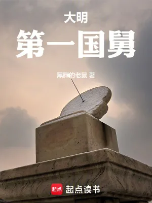 《大明第一国舅》小说封面