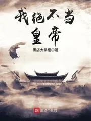 《我绝不当皇帝》小说封面
