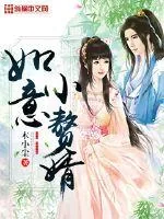 《如意小赘婿》封面