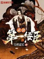 《武唐第一佞臣》封面