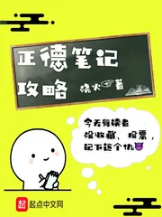 《正德笔记攻略》封面
