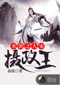 《水浒之大宋摄政王》封面