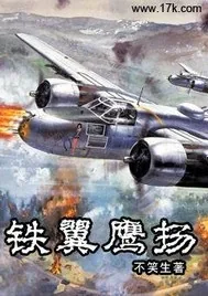 《铁翼鹰扬》封面