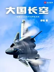 《大国长空》小说封面