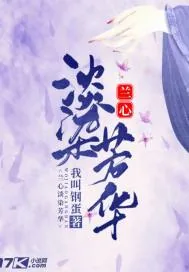 《兰心淡染芳华》封面