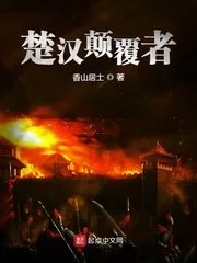 《楚汉颠覆者》封面