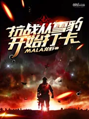 《抗战从雪豹开始打卡》封面