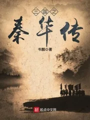 《三国之秦华传》封面