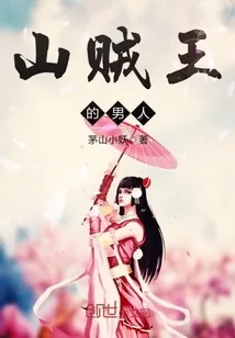 《山贼王的男人》封面