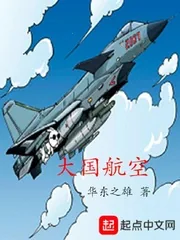 《大国航空》封面