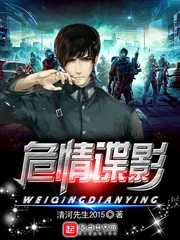 《危情谍影》封面