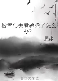 《被雪狼夫君薅秃了怎么办？》封面