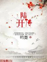 《陆开传》封面