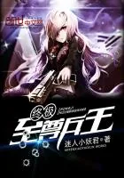 《终极至尊兵王》封面