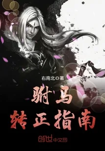 《驸马转正指南》小说封面
