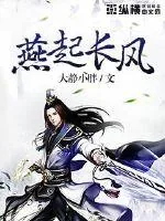 《燕起长风》封面