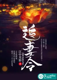 《追妻令》小说封面