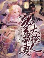 《猫系萌妻太撩人》封面
