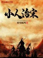 《小人治宋》封面