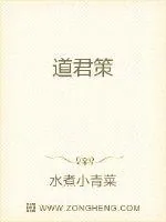 《道君策》封面