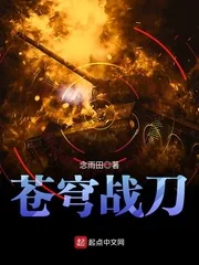 《苍穹战刀》封面