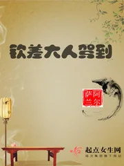 《钦差大人驾到》封面