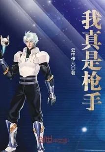 《我真是枪手》封面